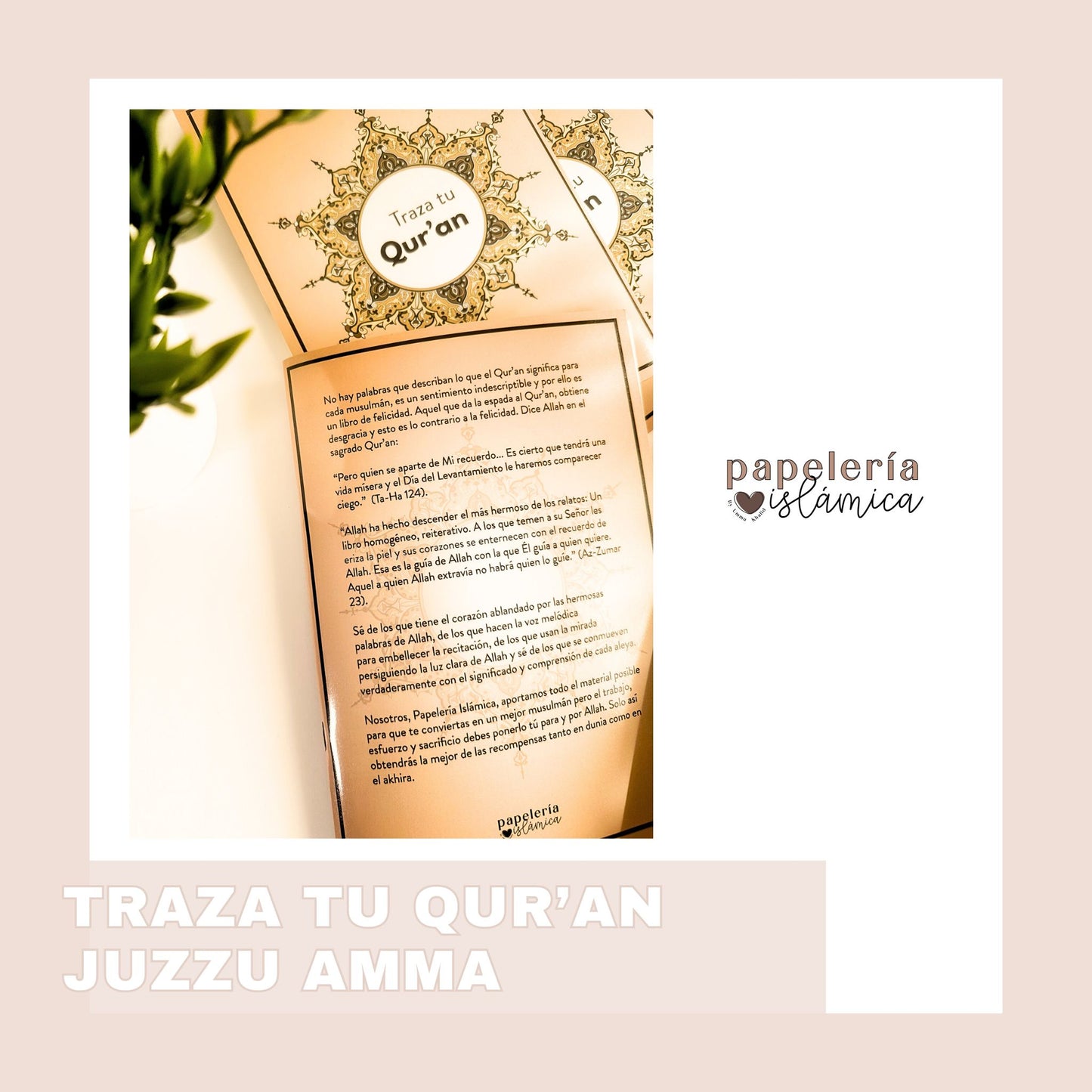 TRAZA TU QUR'AN JUZZU AMMA