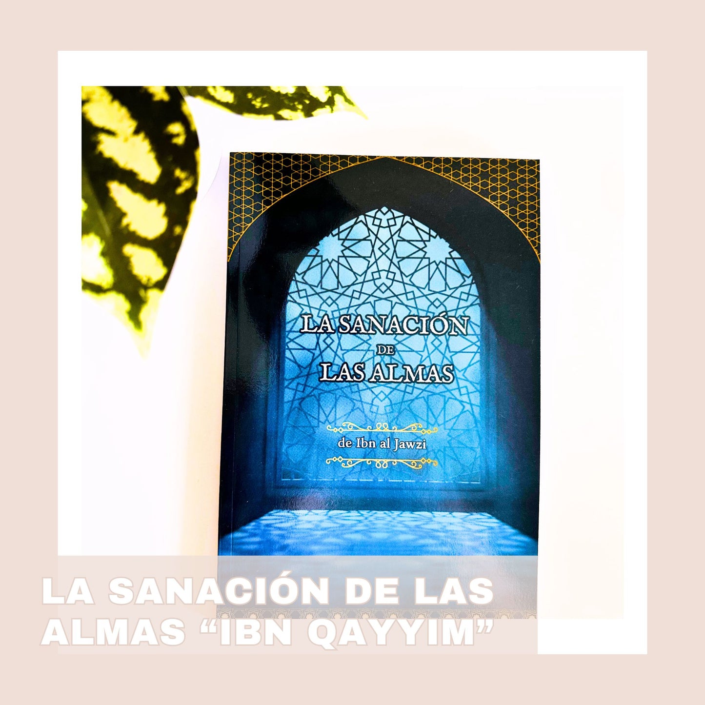 LA SANACIÓN DE LAS ALMAS "IBN QAYYIM"