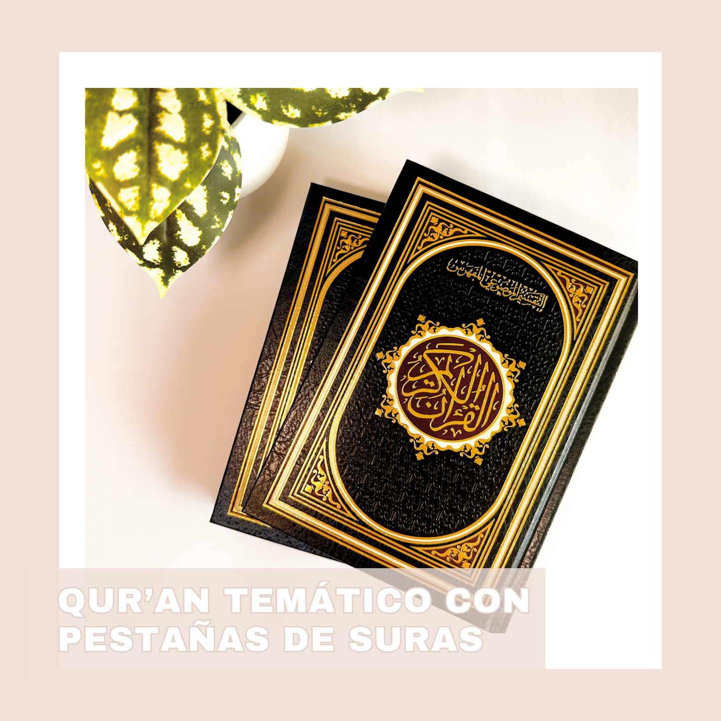 Quran tematico por colores páginas doradas