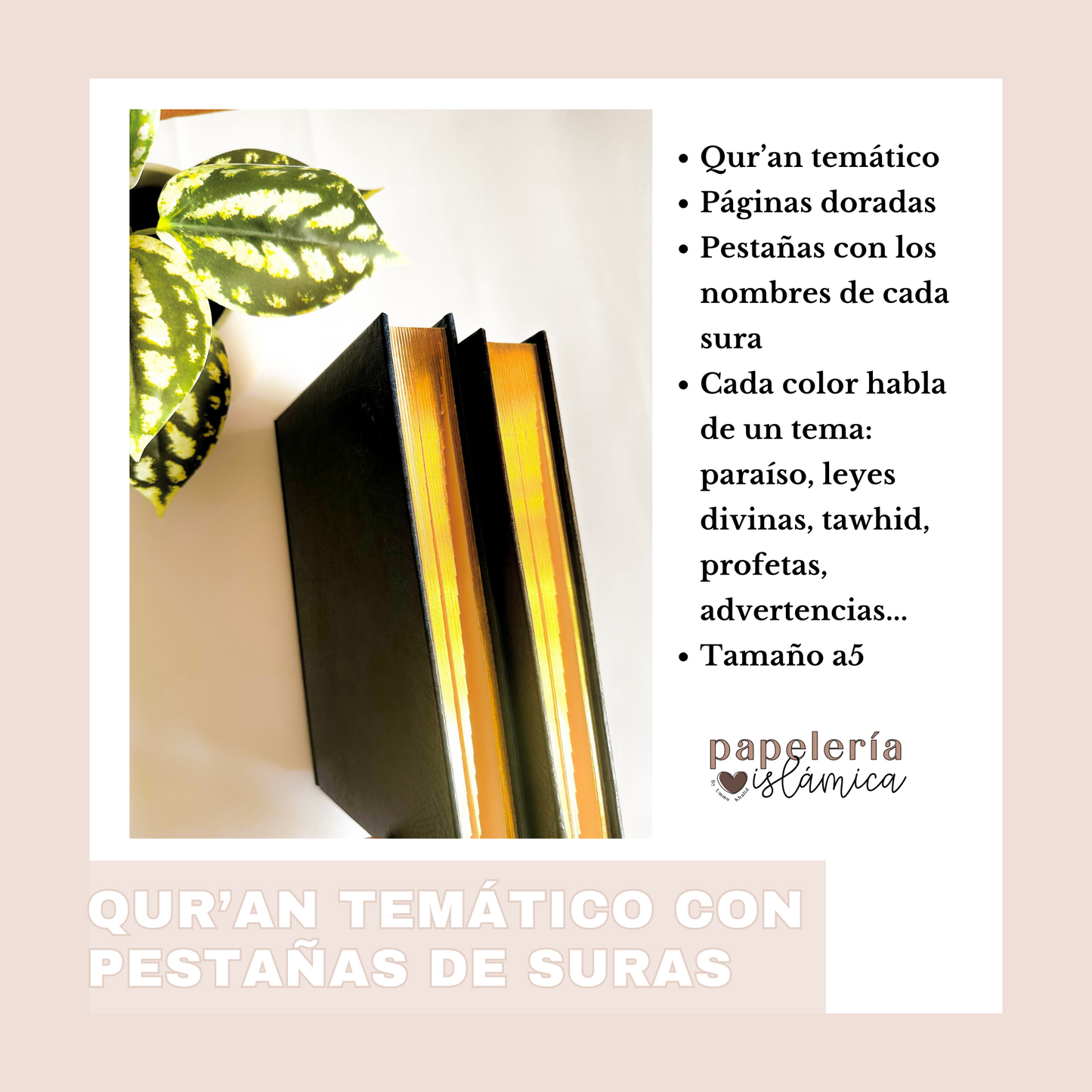 Quran tematico por colores paginas doradas 1