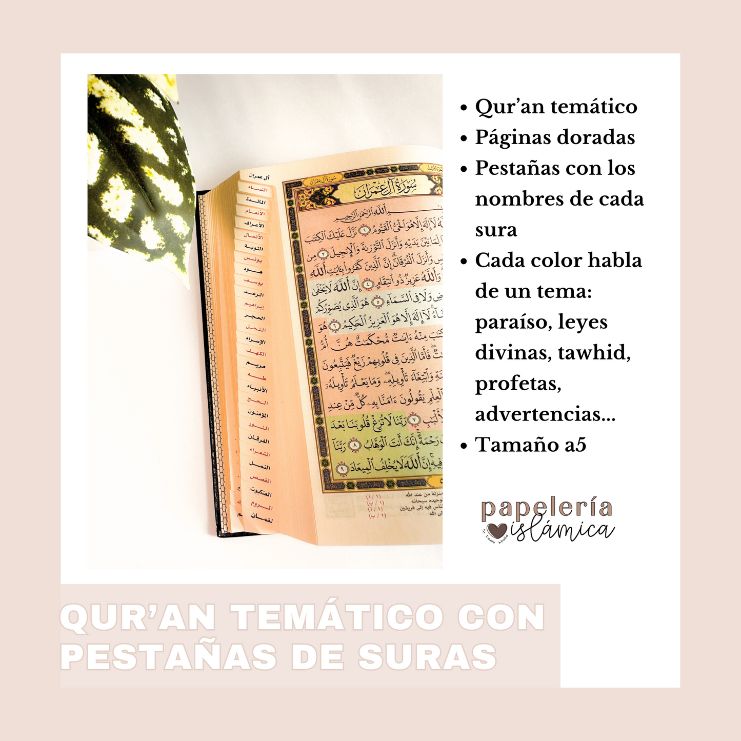 Quran tematico por colores paginas doradas 2