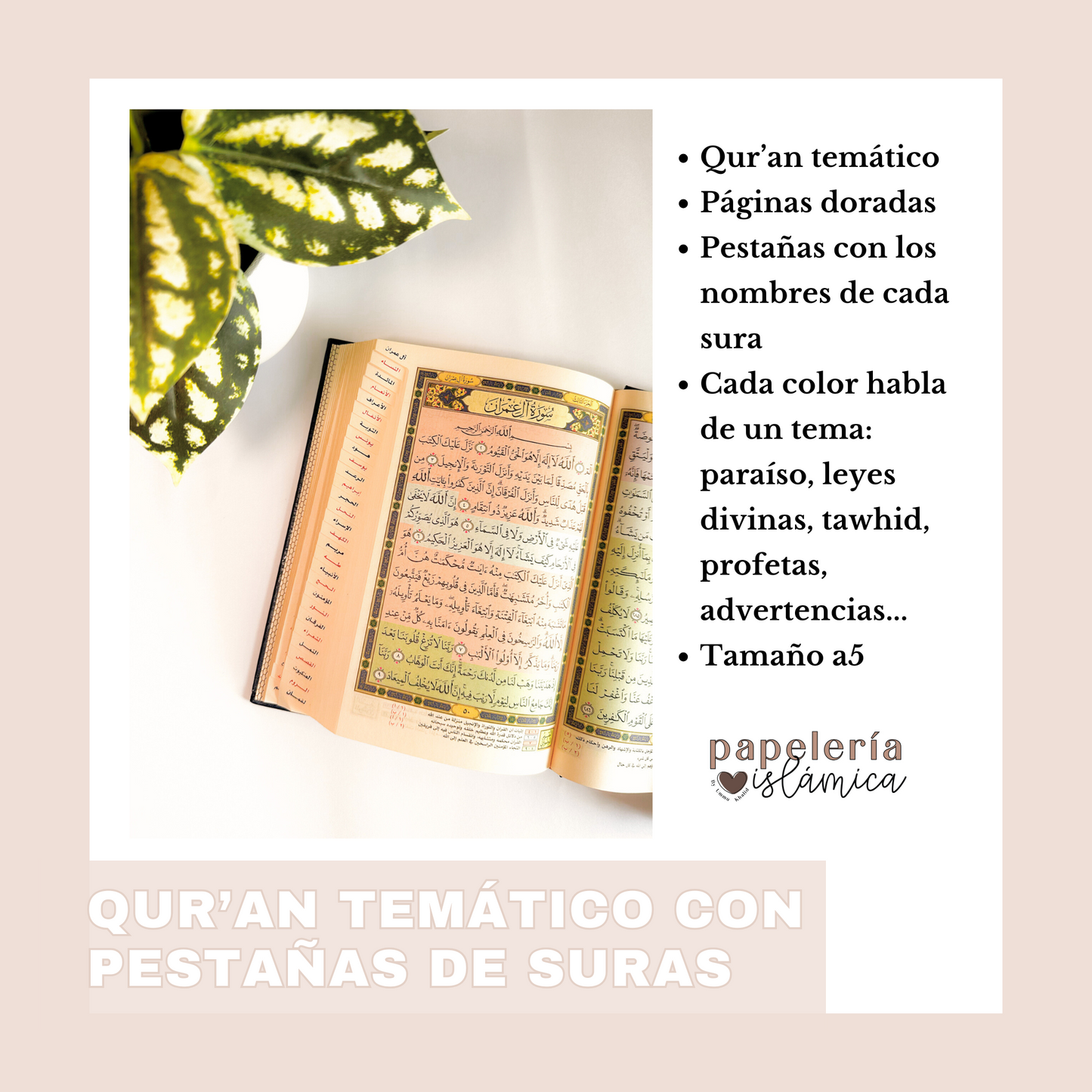 Quran tematico por colores paginas doradas 3