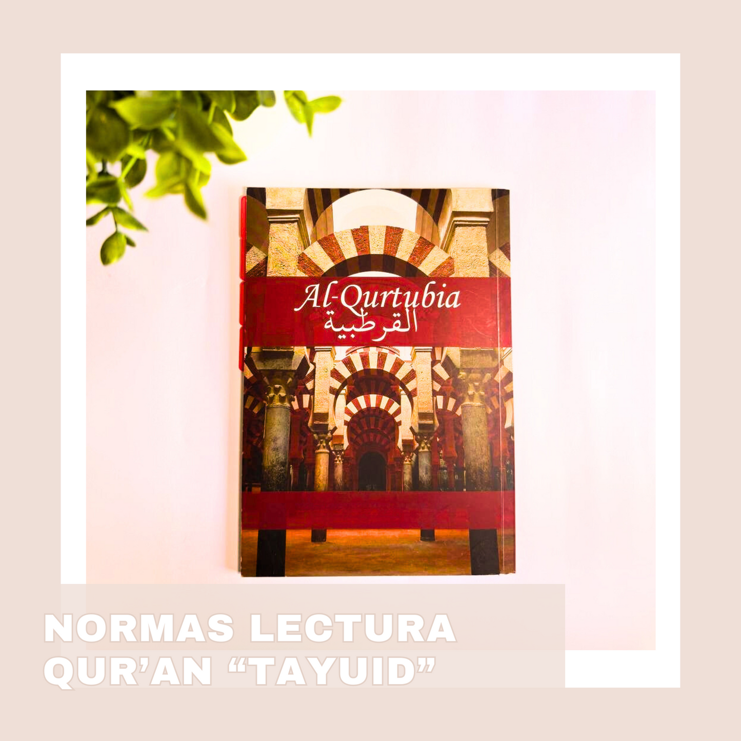 APRENDE LAS NORMAS DE LECTURA DEL QUR'AN