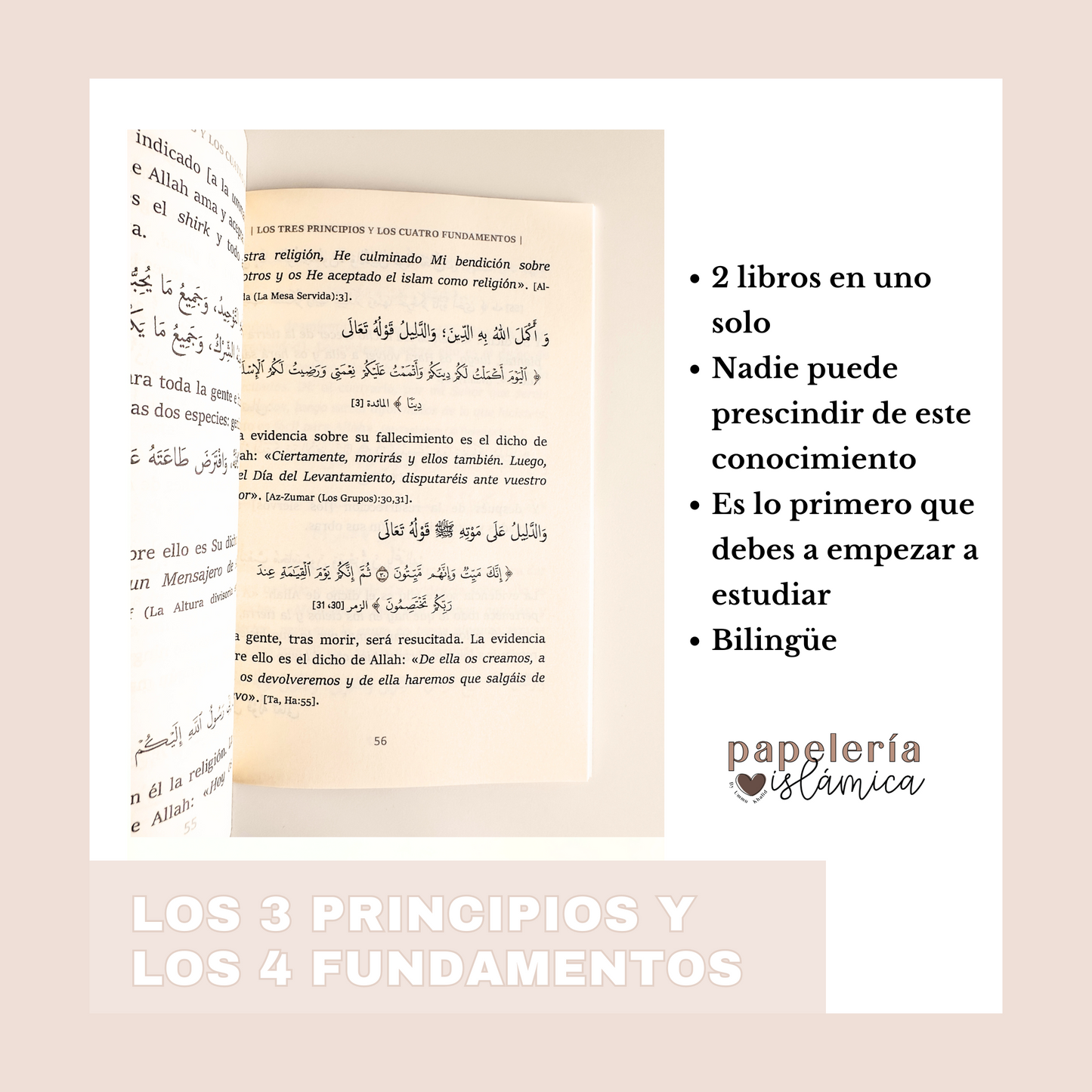 LOS TRES PRINCIPIOS + LOS CUATRO FUNDAMENTOS