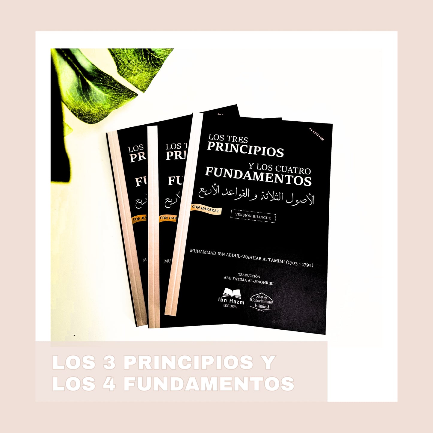 LOS TRES PRINCIPIOS + LOS CUATRO FUNDAMENTOS