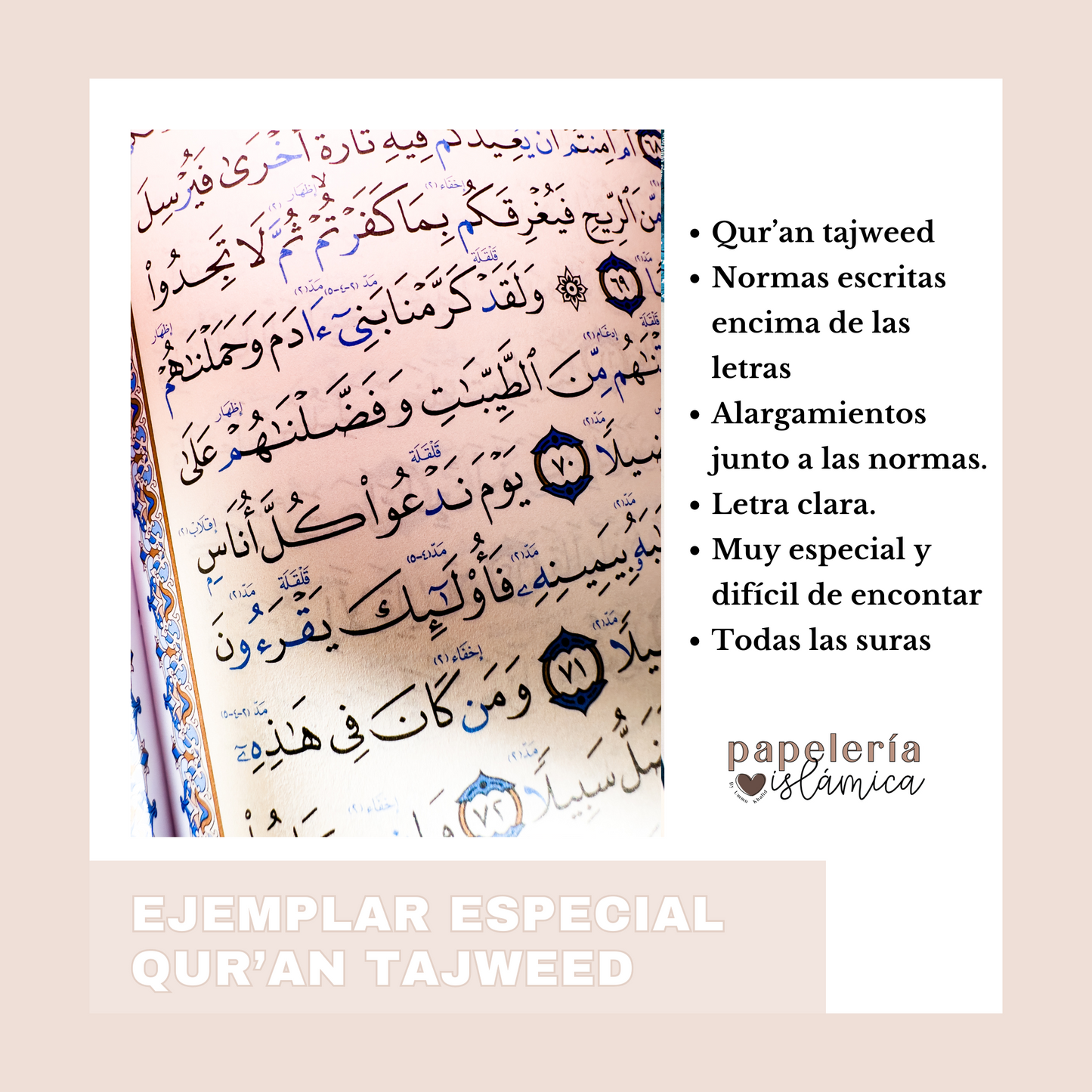 QUR'AN TAJWEED SIN COLORES