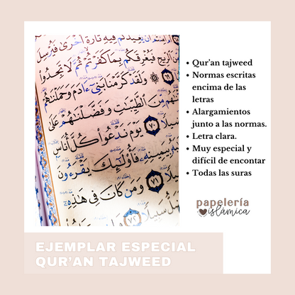 QUR'AN TAJWEED SIN COLORES