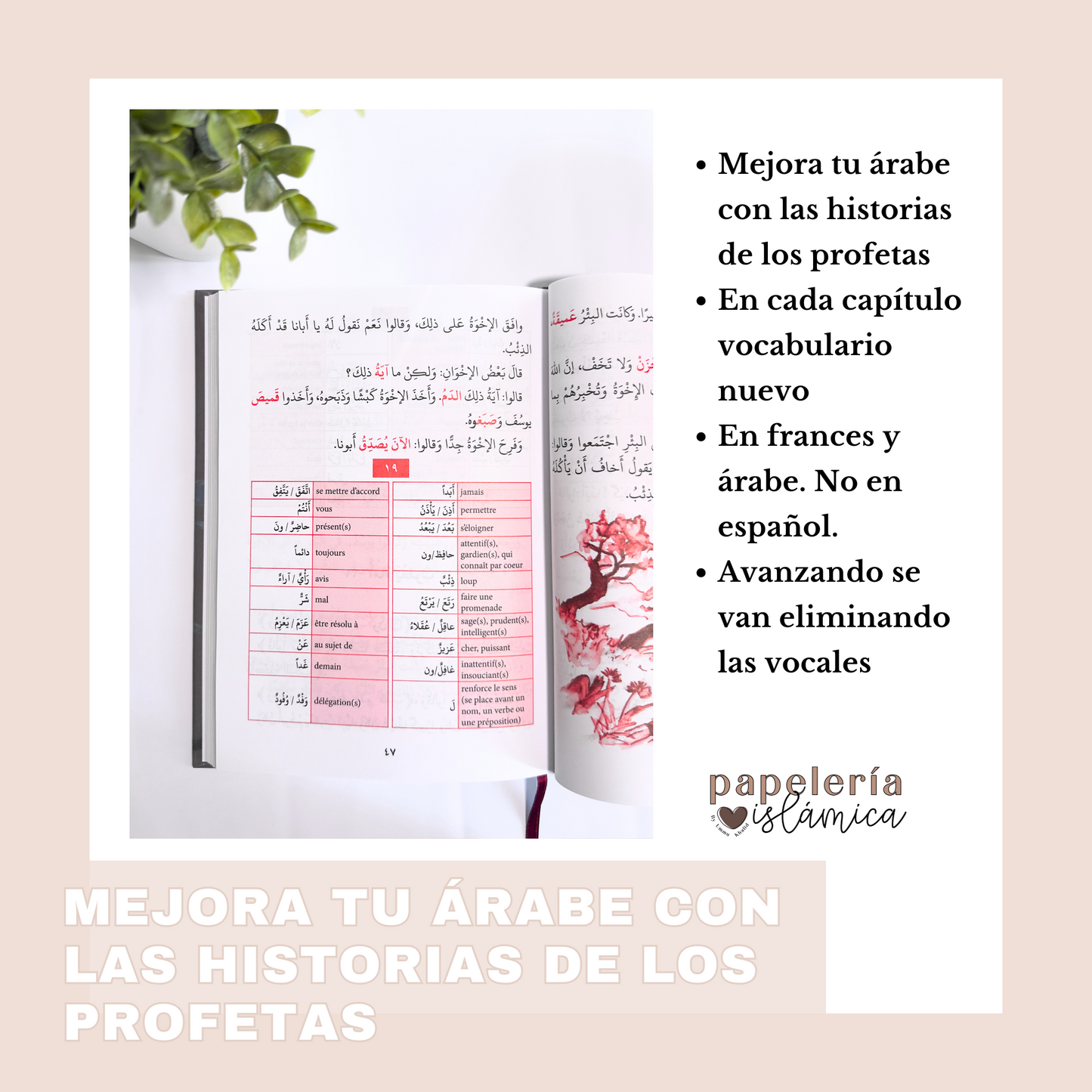 Historias de los profetas mejora tu arabe papeleria islamica 1