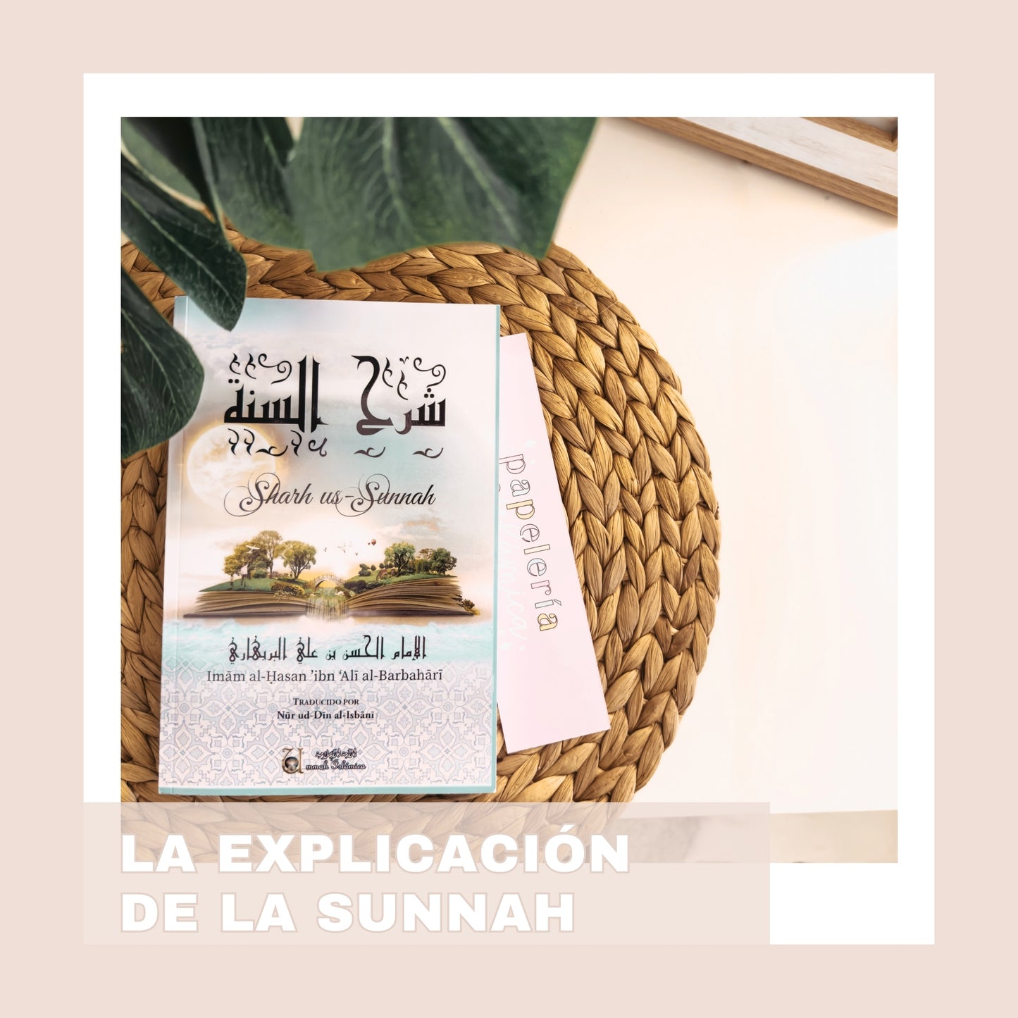 LA EXPLICACIÓN DE LA SUNNAH