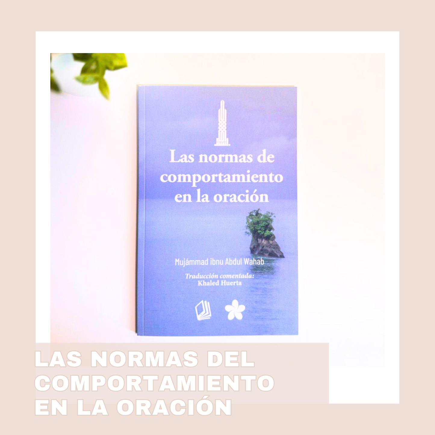 LAS NORMAS DE COMPORTAMIENTO EN LA ORACIÓN