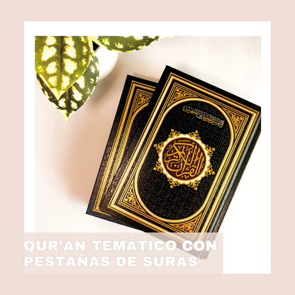 Quran tematico por colores páginas doradas