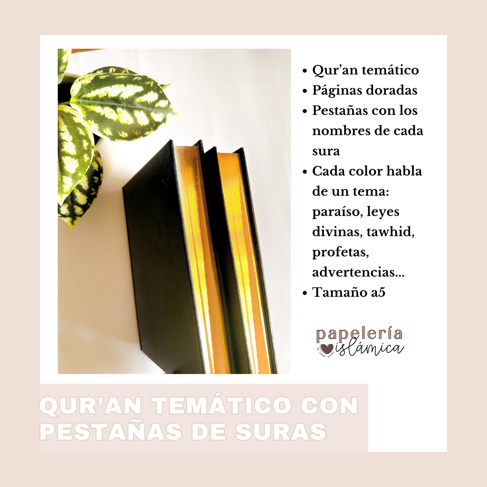 Quran tematico por colores paginas doradas 1