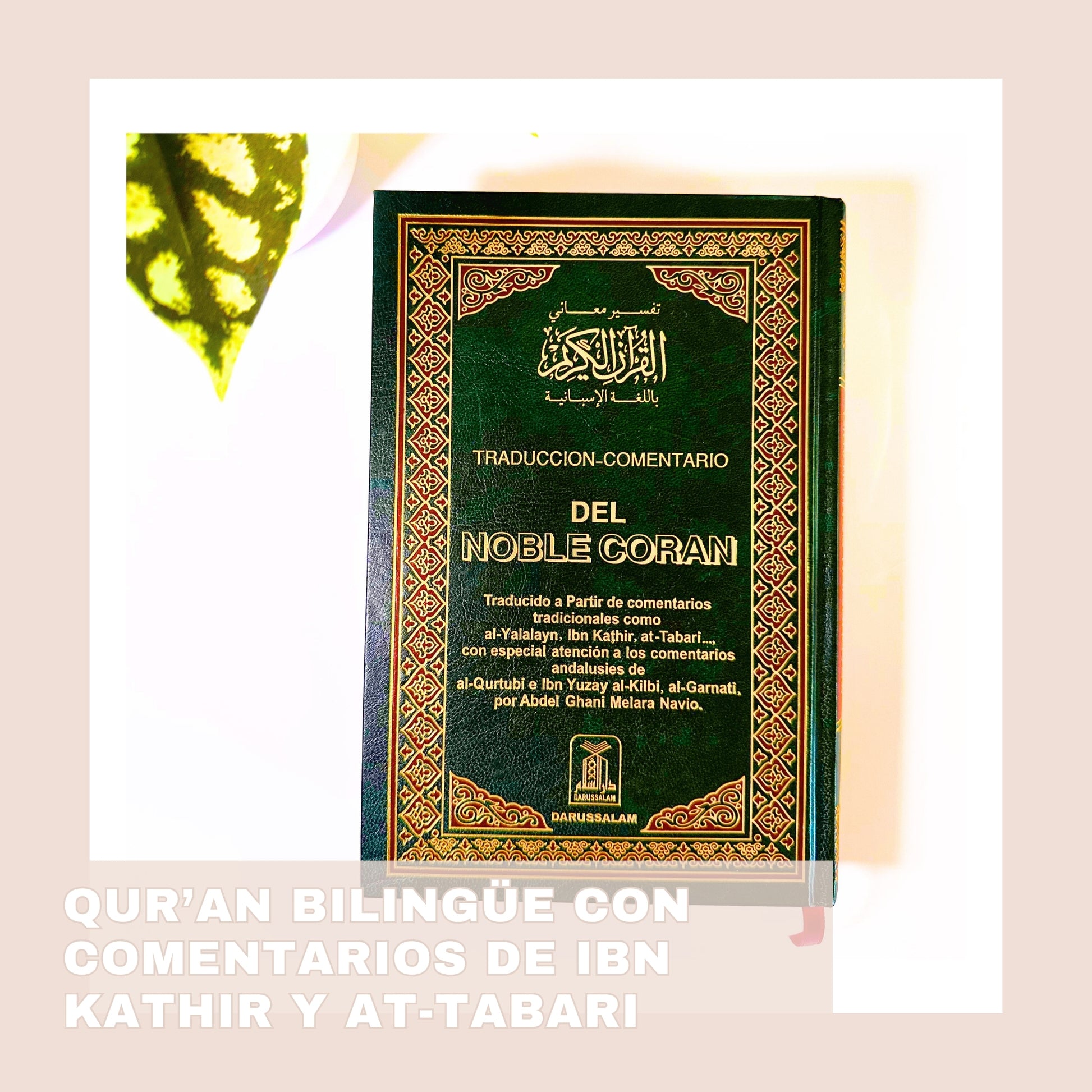 quran espanol darussalam papeleria islamica