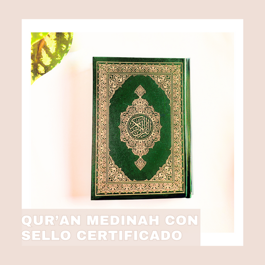 quran medinah certificado papeleria islamica