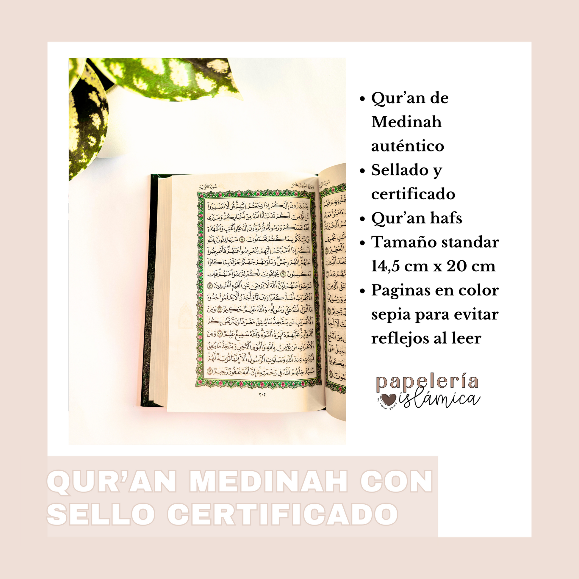 quran medinah certificado papeleria islamica 1